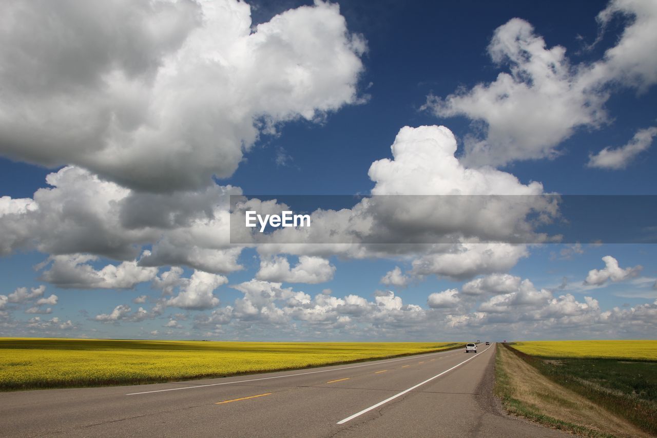 Empty road with trees in background