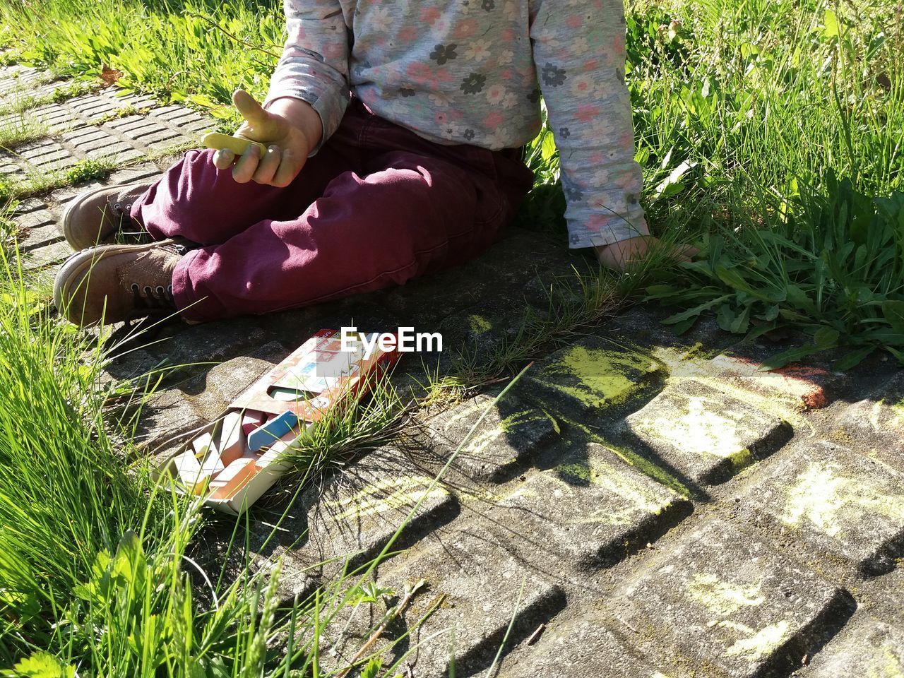 LOW SECTION OF WOMAN SITTING ON GRASS BY PLANTS