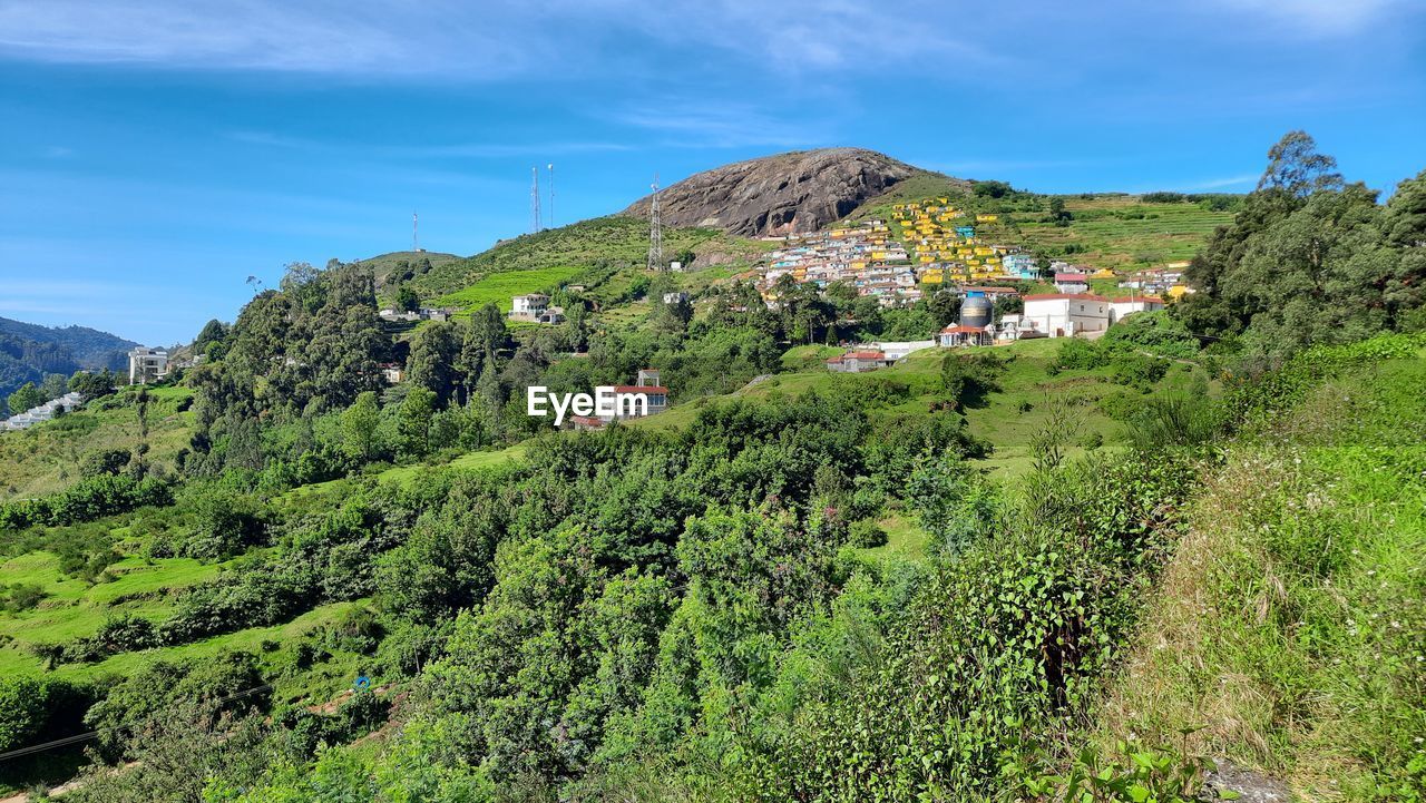 PANORAMIC SHOT OF TREES AND BUILDINGS AGAINST SKY