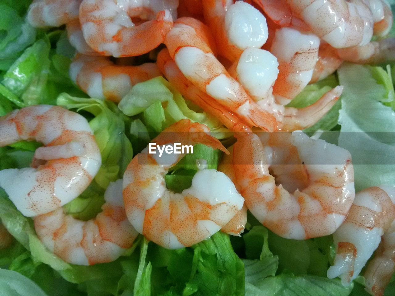 Close-up of prawns with vegetables