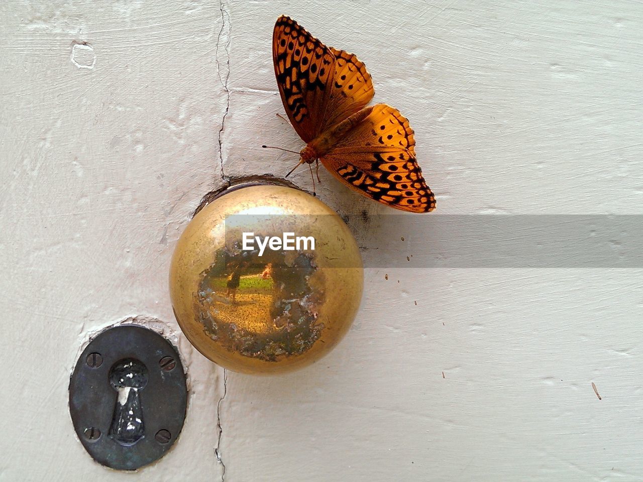 Close-up of orange butterfly sitting next to brass door handle