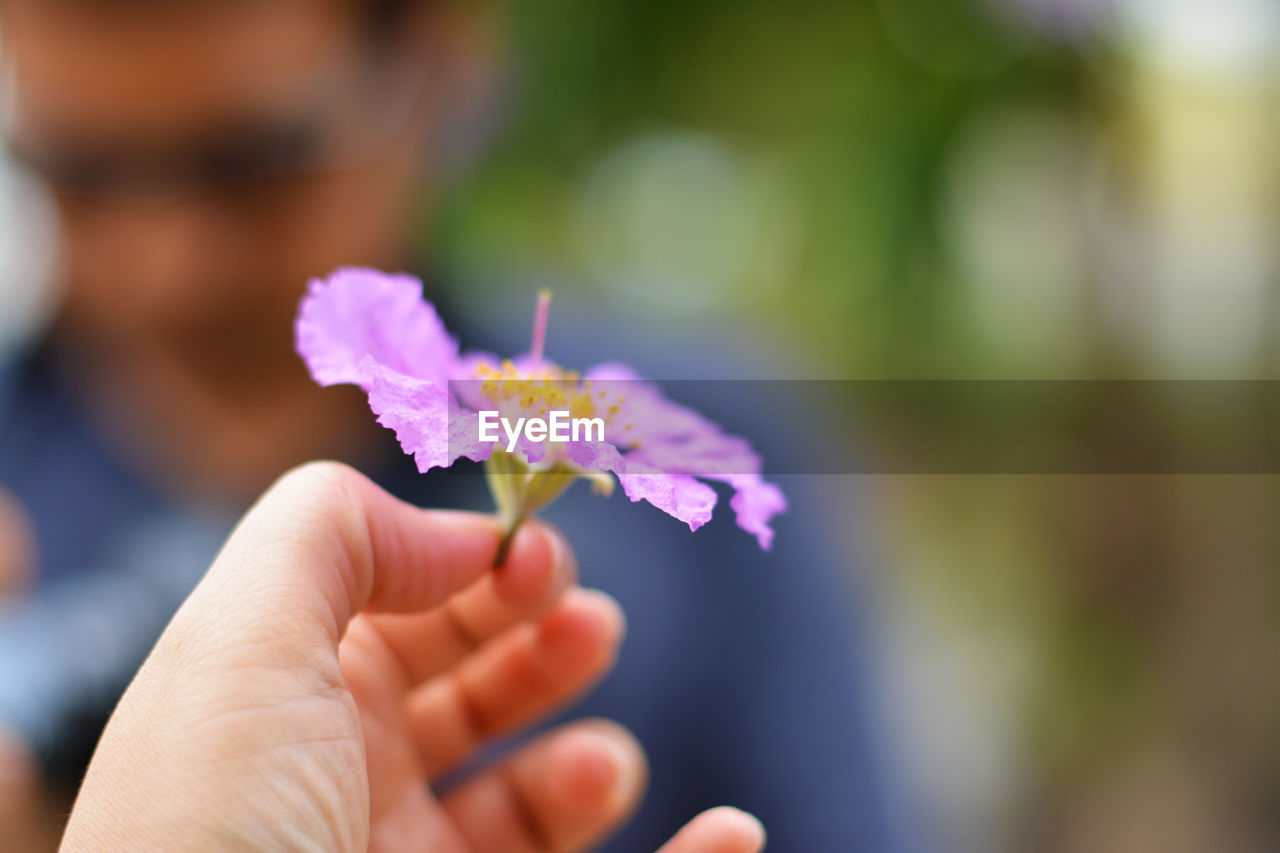 CLOSE-UP OF HAND HOLDING FLOWERING PLANT