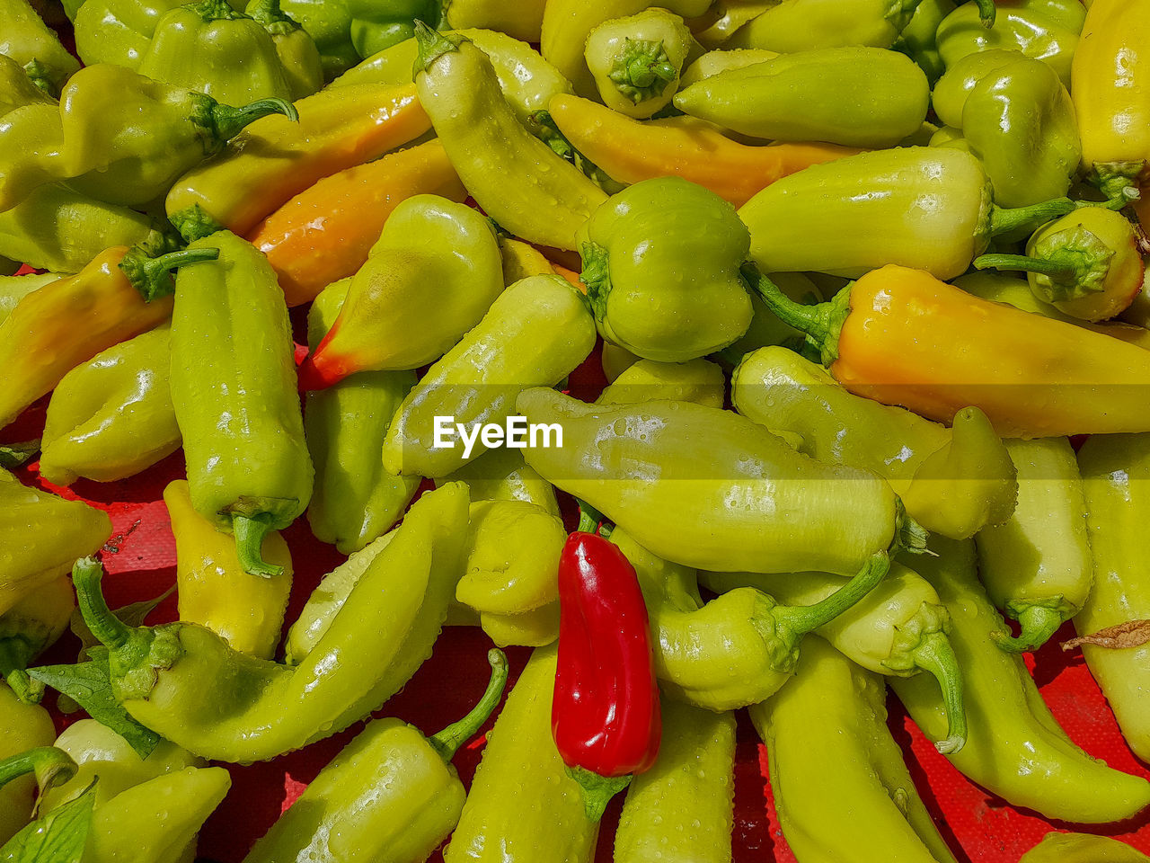 Full frame shot of green chili peppers