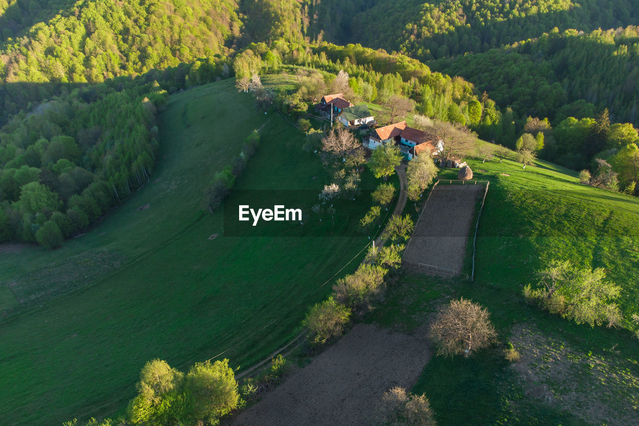 HIGH ANGLE VIEW OF VINEYARD