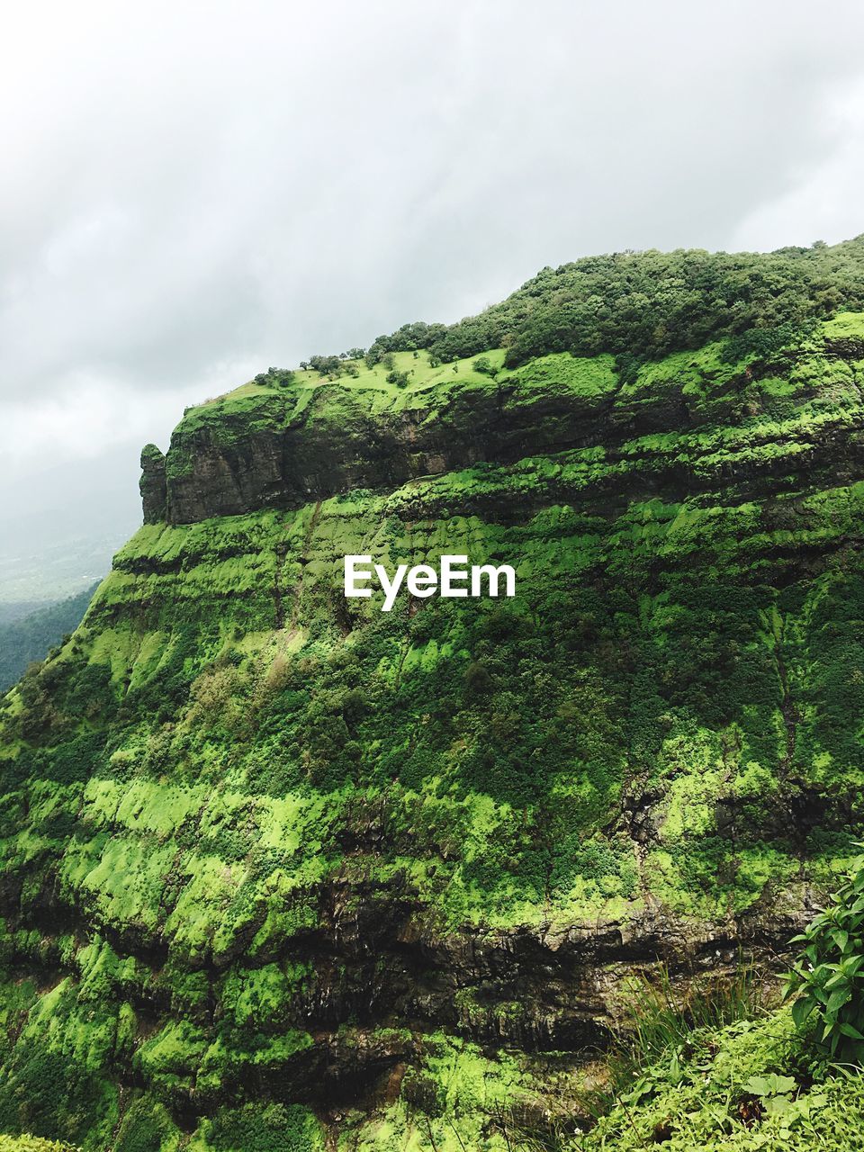 SCENIC VIEW OF GREEN LANDSCAPE AGAINST SKY