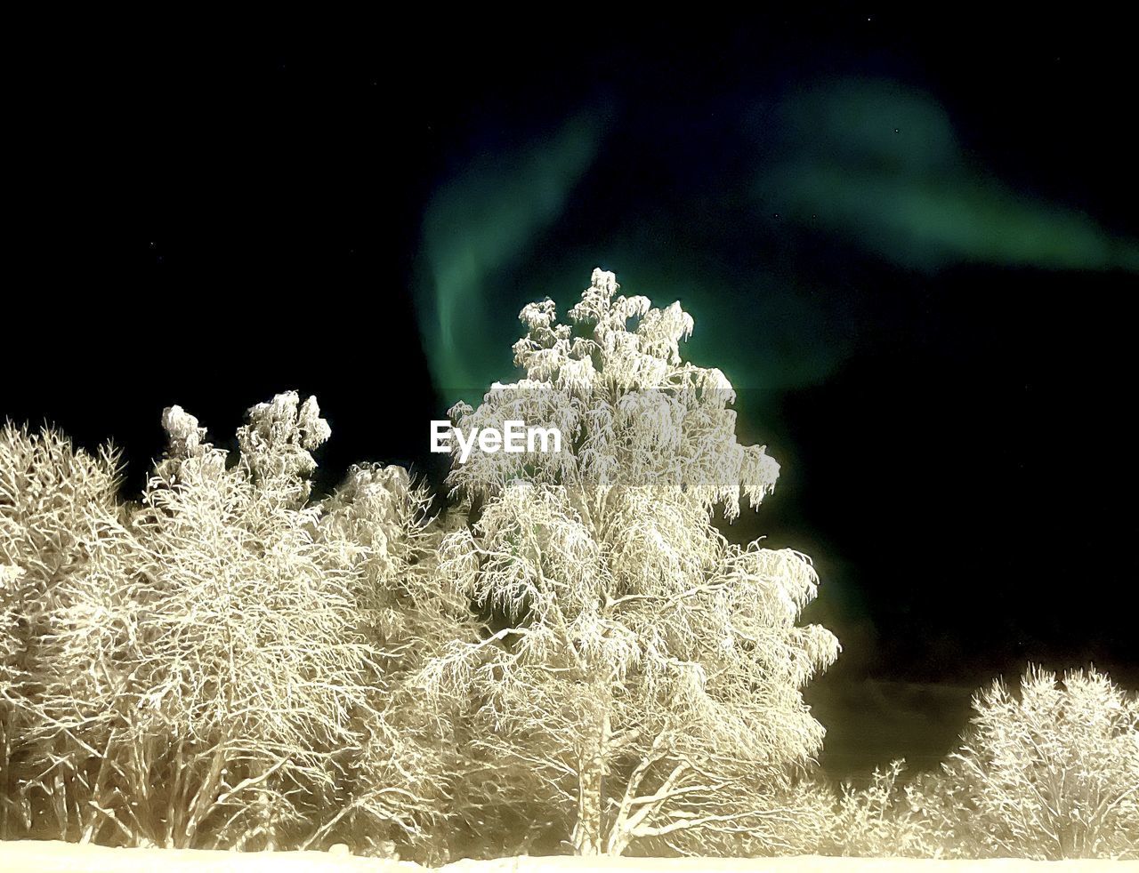 night, nature, sky, plant, no people, beauty in nature, snow, cold temperature, winter, outdoors