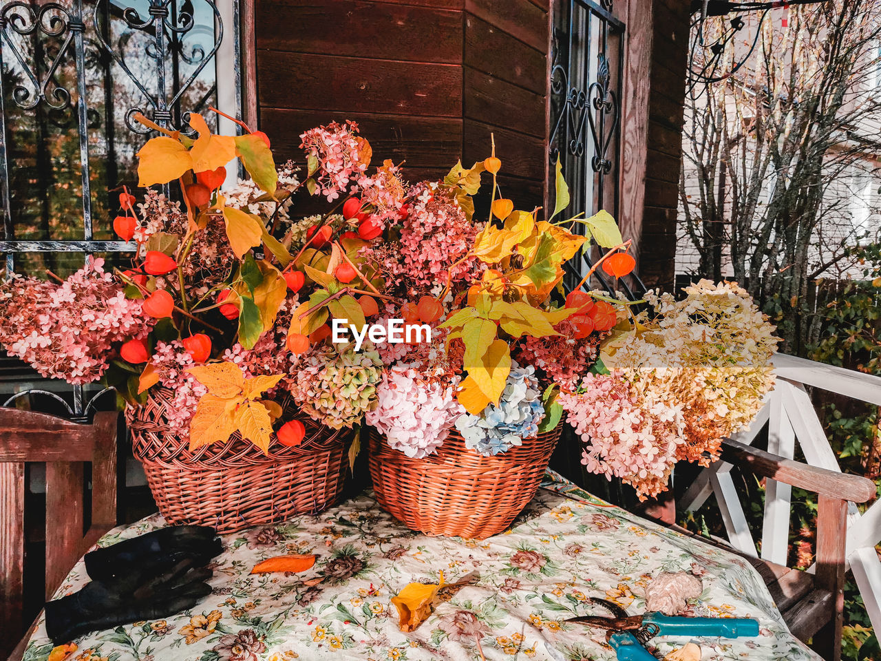 Orange flowering plants in basket