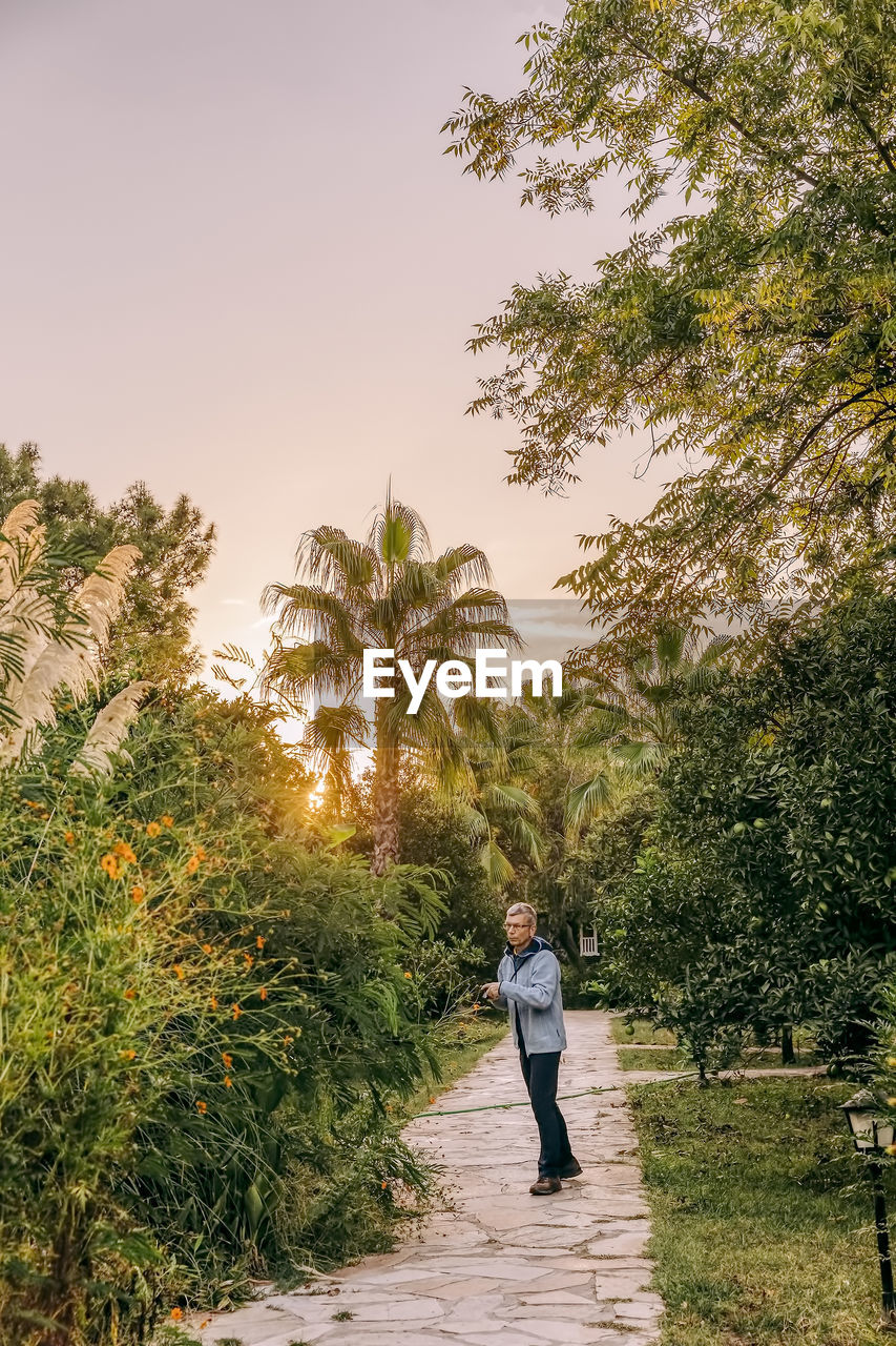 Rear view of woman standing on footpath by palm trees against sky