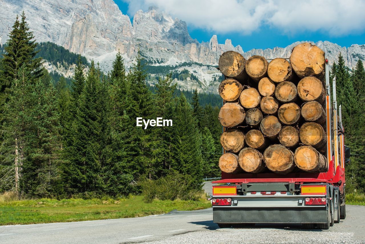 Stacked logs on truck on road against trees