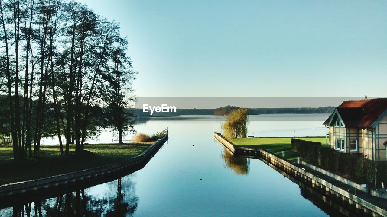 PANORAMIC SHOT OF TREES AGAINST CLEAR SKY