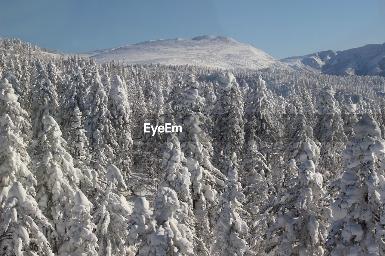 Panoramic view of snowcapped mountains against sky