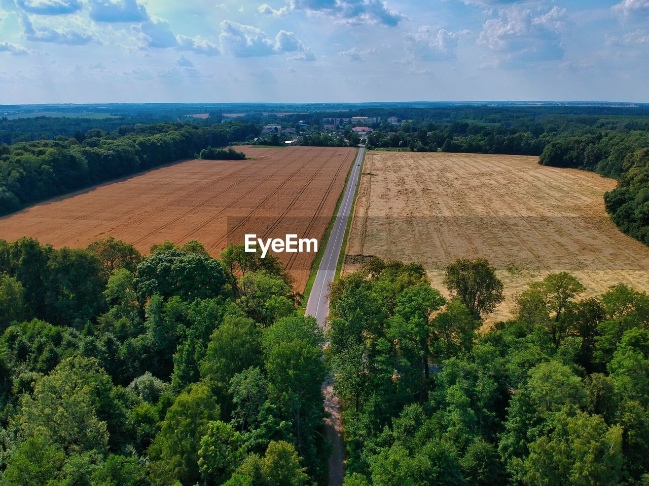 HIGH ANGLE VIEW OF TREES AND PLANTS ON ROAD