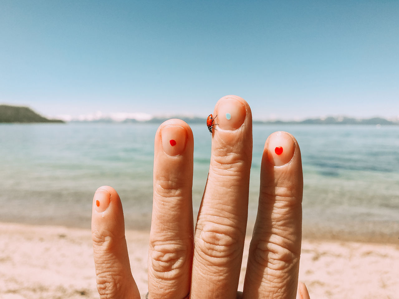 Close-up of hand with nail polish and ladybug against sea and sky