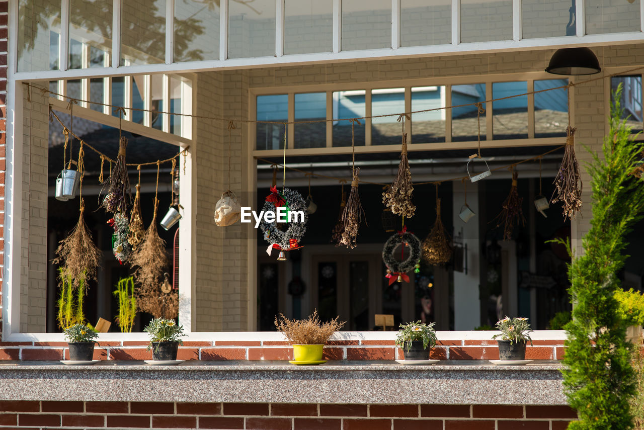 POTTED PLANTS HANGING ON WINDOW OF BUILDING