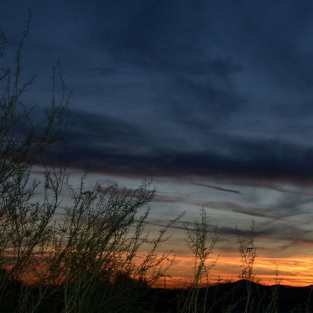 SUNSET OVER LANDSCAPE