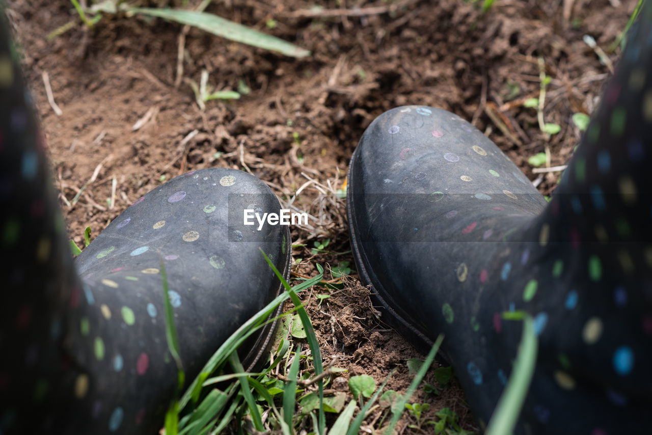 Close up of rubber boots on field