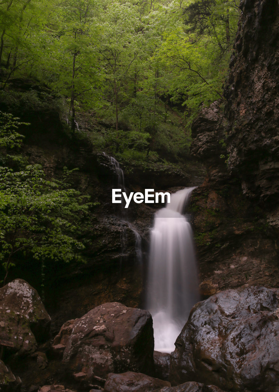 Scenic view of waterfall in forest