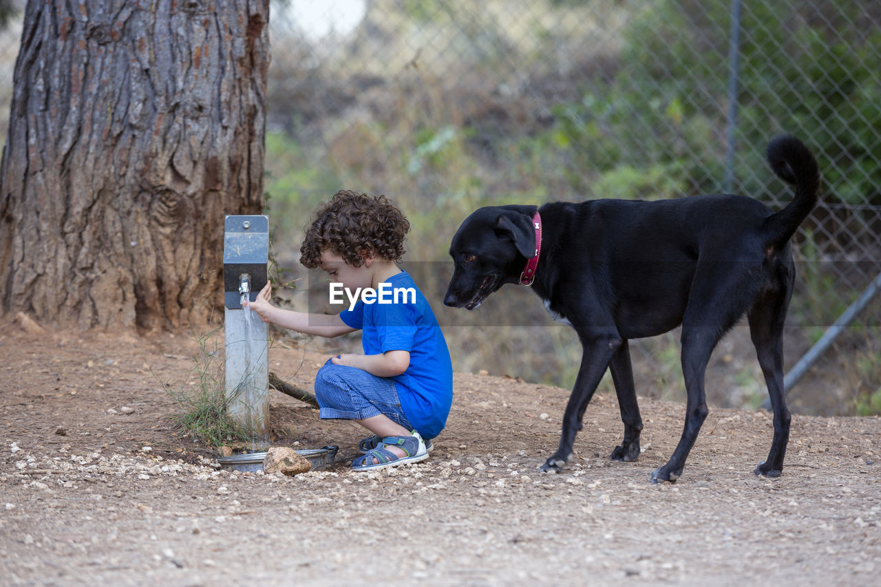 Little boy drawing water from an animal fountain to give his big black dog a drink