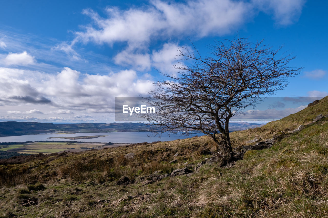 nature, sky, landscape, environment, cloud, wilderness, mountain, plant, scenics - nature, beauty in nature, land, tree, grass, no people, tranquility, water, tranquil scene, blue, non-urban scene, coast, outdoors, lake, travel destinations, rock, day, horizon, rural area, ridge, travel, plateau, tourism, beach, highland, natural environment