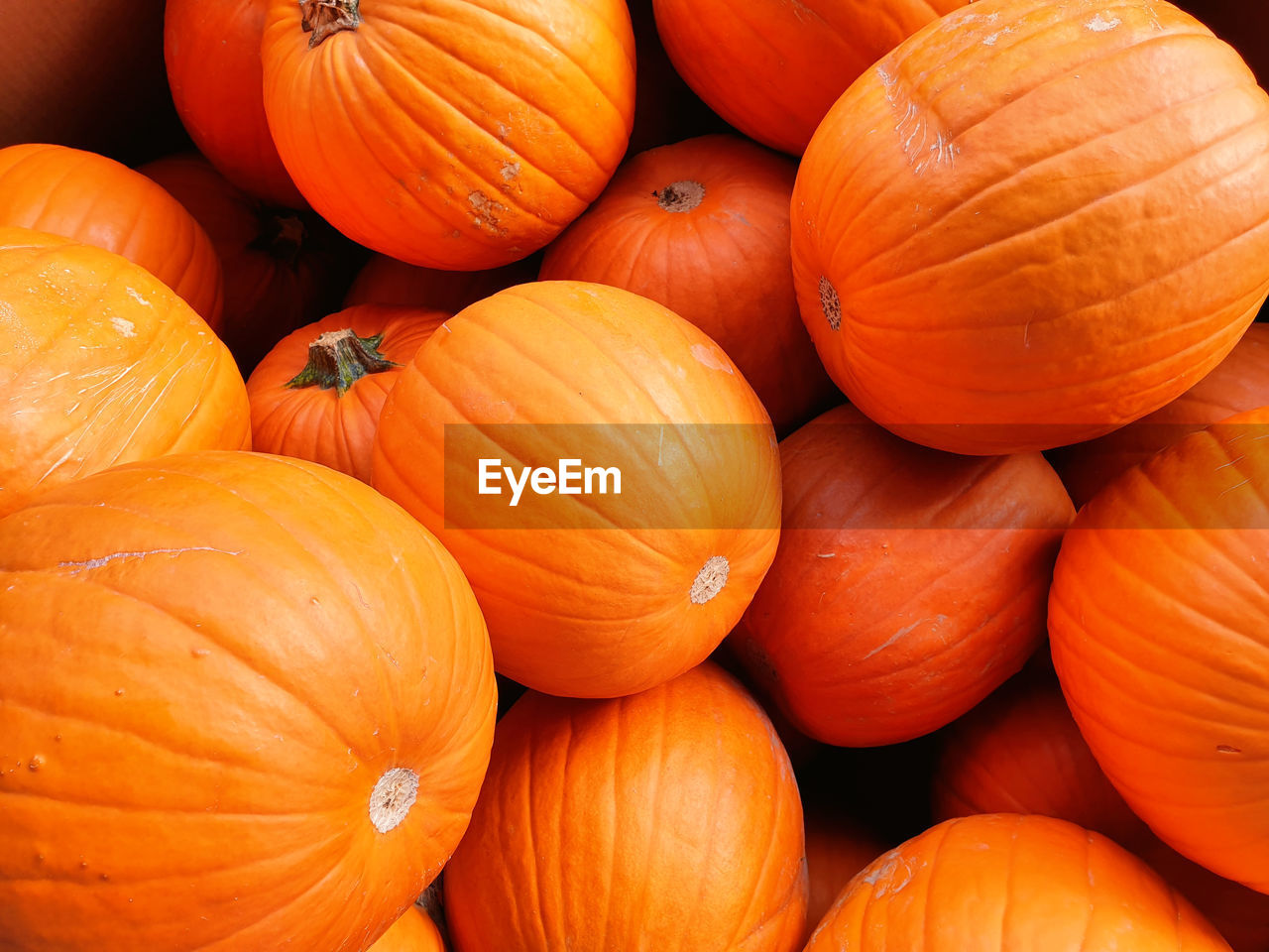 Full frame shot of pumpkins at market stall