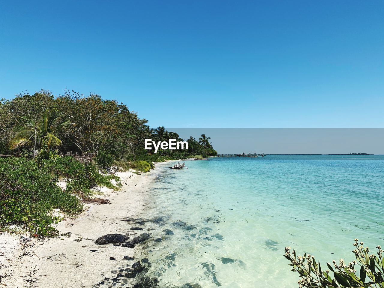 Scenic view of sea against clear blue sky