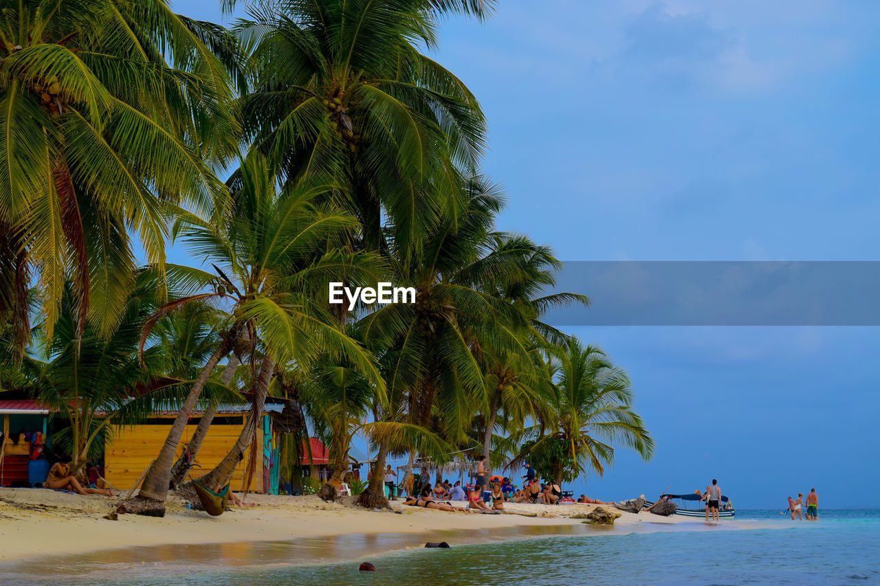 People by palm trees on beach against sky