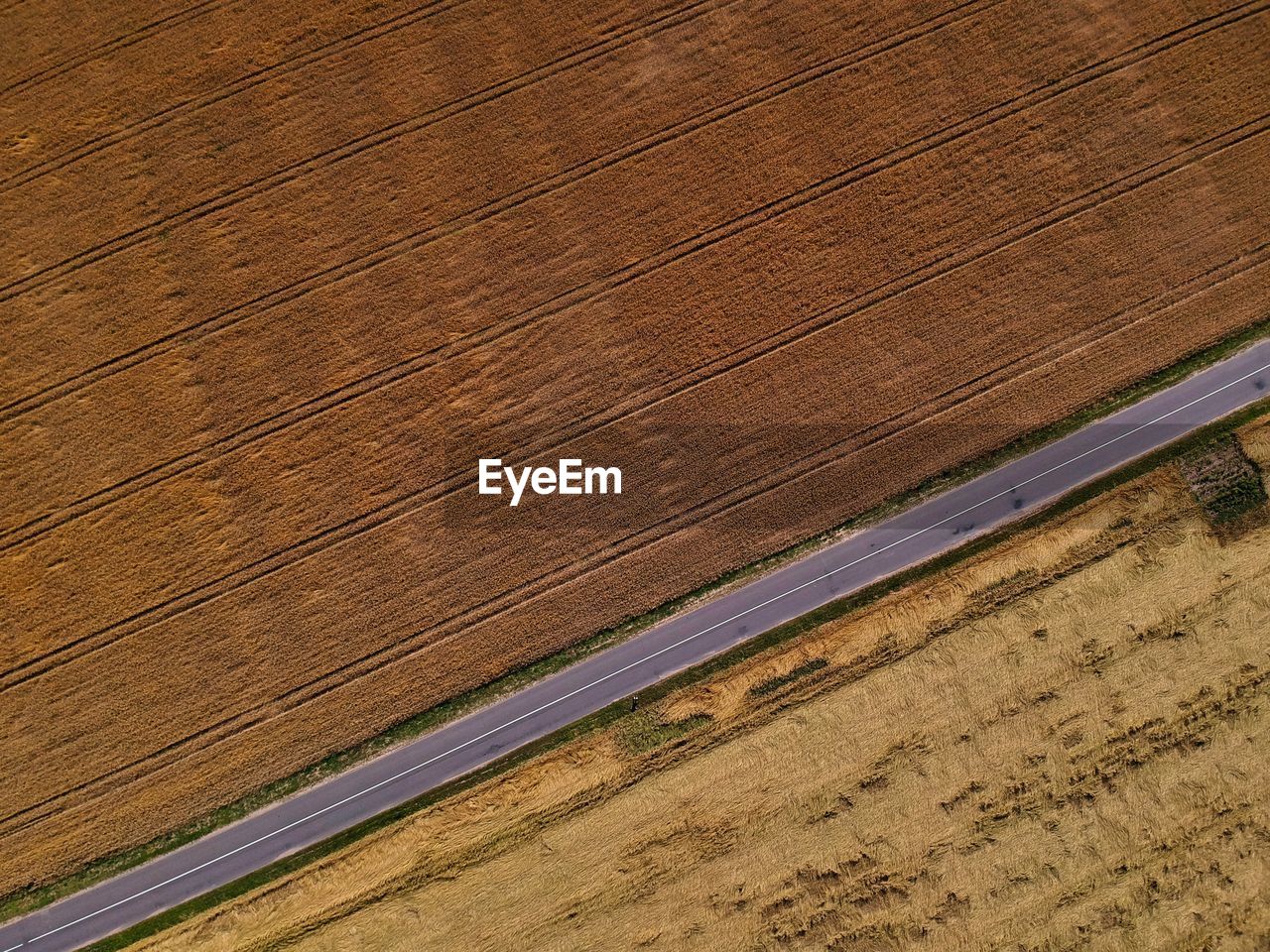 High angle view of wood on field