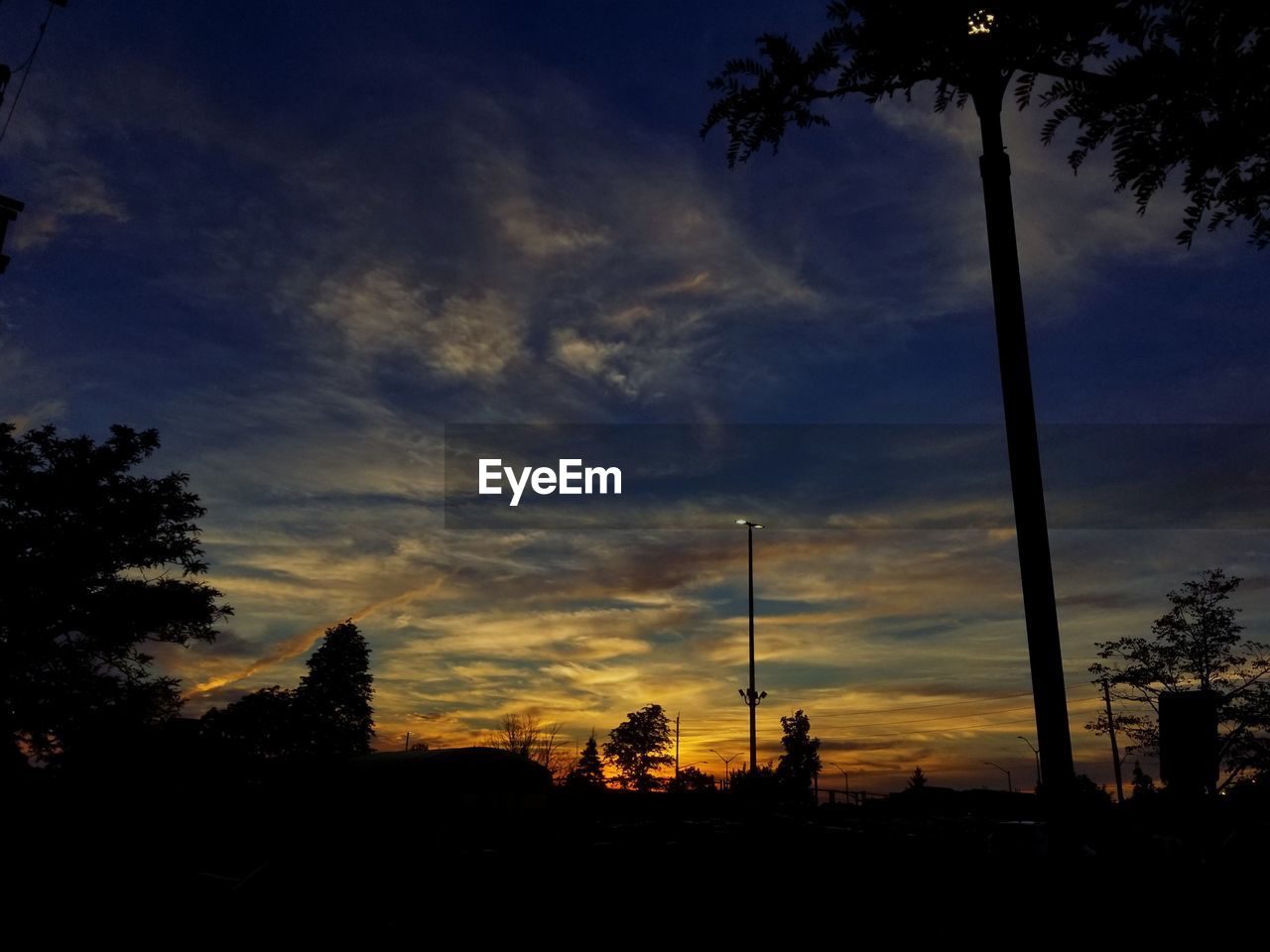 LOW ANGLE VIEW OF SILHOUETTE TREES AGAINST ORANGE SKY