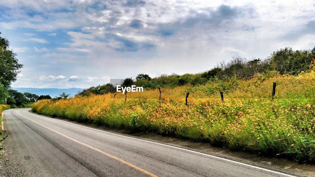 ROAD AMIDST TREES ON LANDSCAPE AGAINST SKY