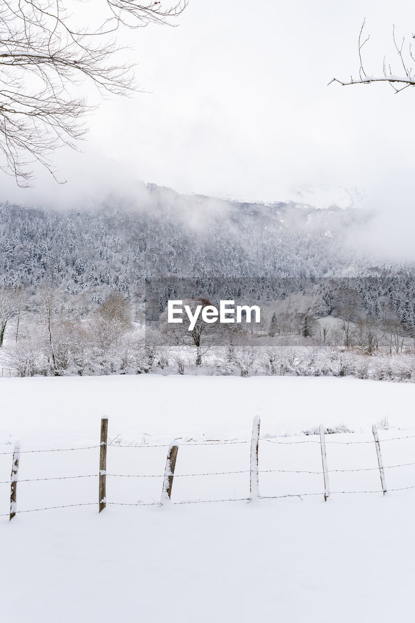 Scenic view of snow covered field