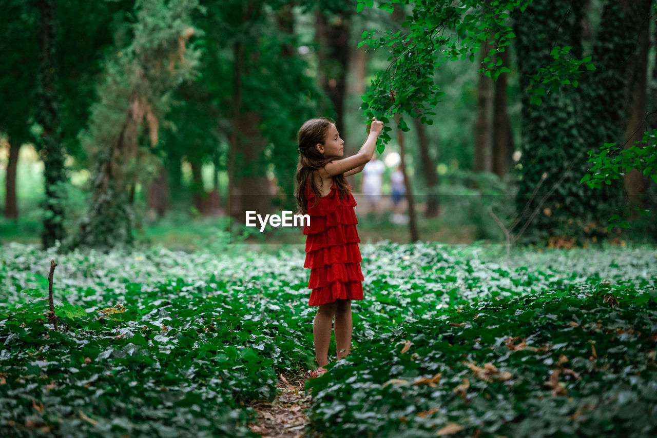 Full length of boy standing in forest