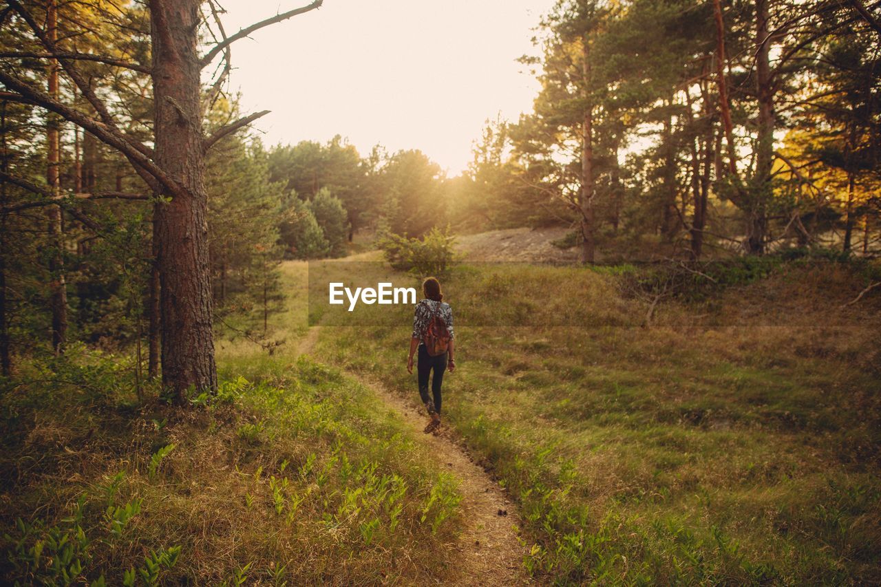 Rear view of woman walking on trail in forest