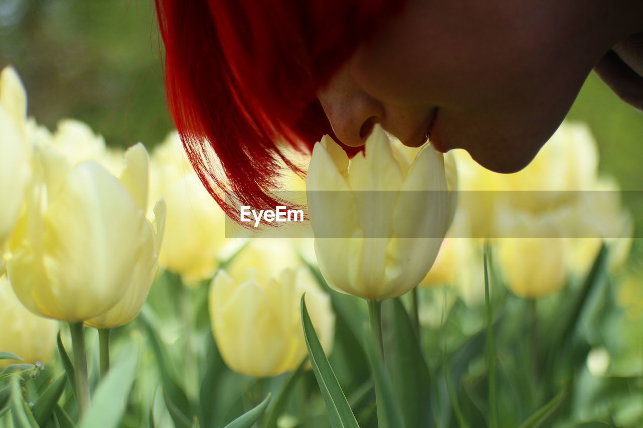 plant, flower, flowering plant, beauty in nature, freshness, nature, tulip, close-up, growth, fragility, one person, petal, yellow, flower head, springtime, red, inflorescence, women, outdoors, adult, focus on foreground, selective focus, day, macro photography, field, rural scene, sunlight