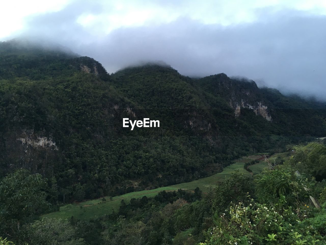 SCENIC VIEW OF GREEN LANDSCAPE AGAINST SKY