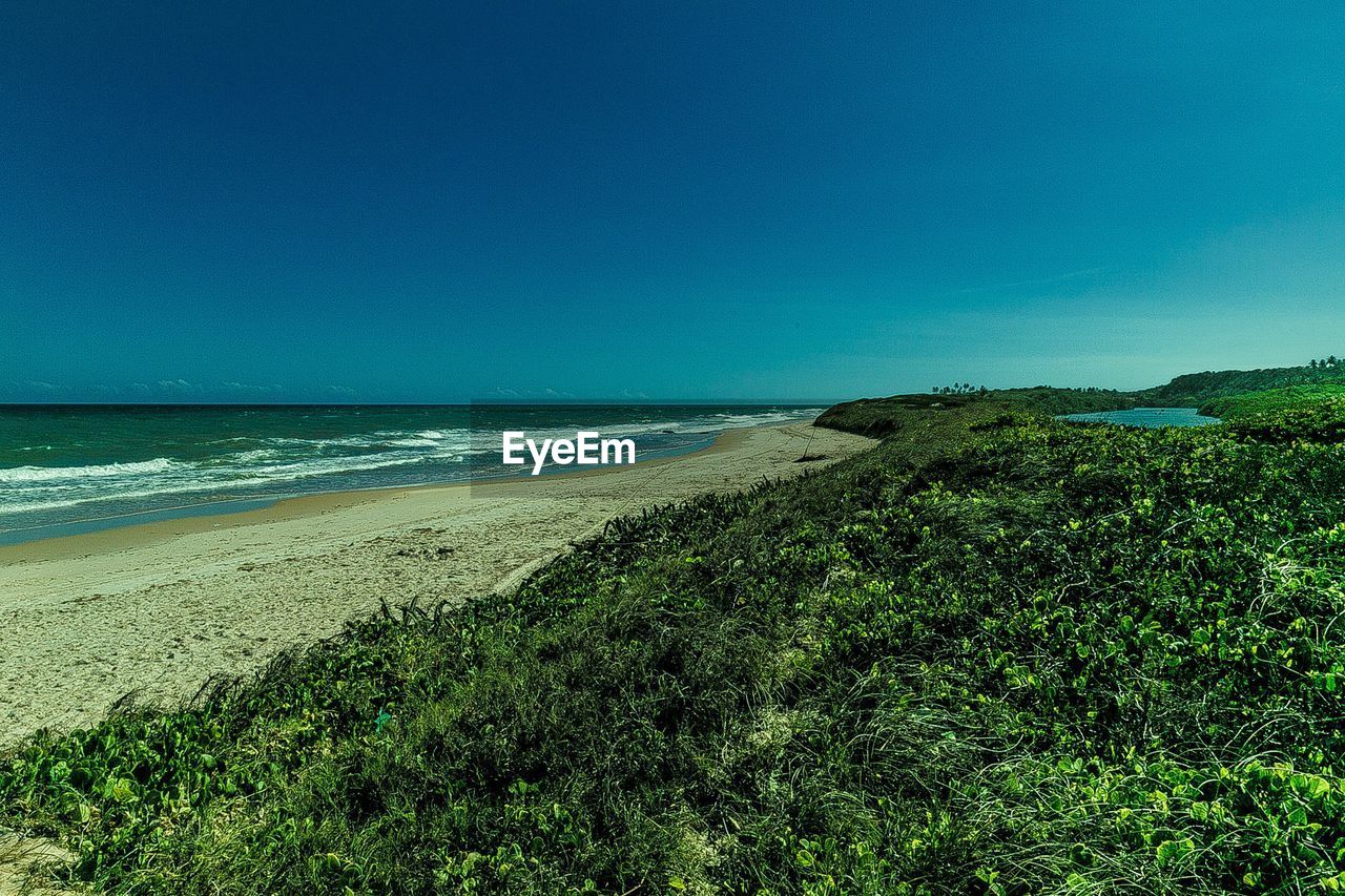 SCENIC VIEW OF BEACH AGAINST CLEAR SKY