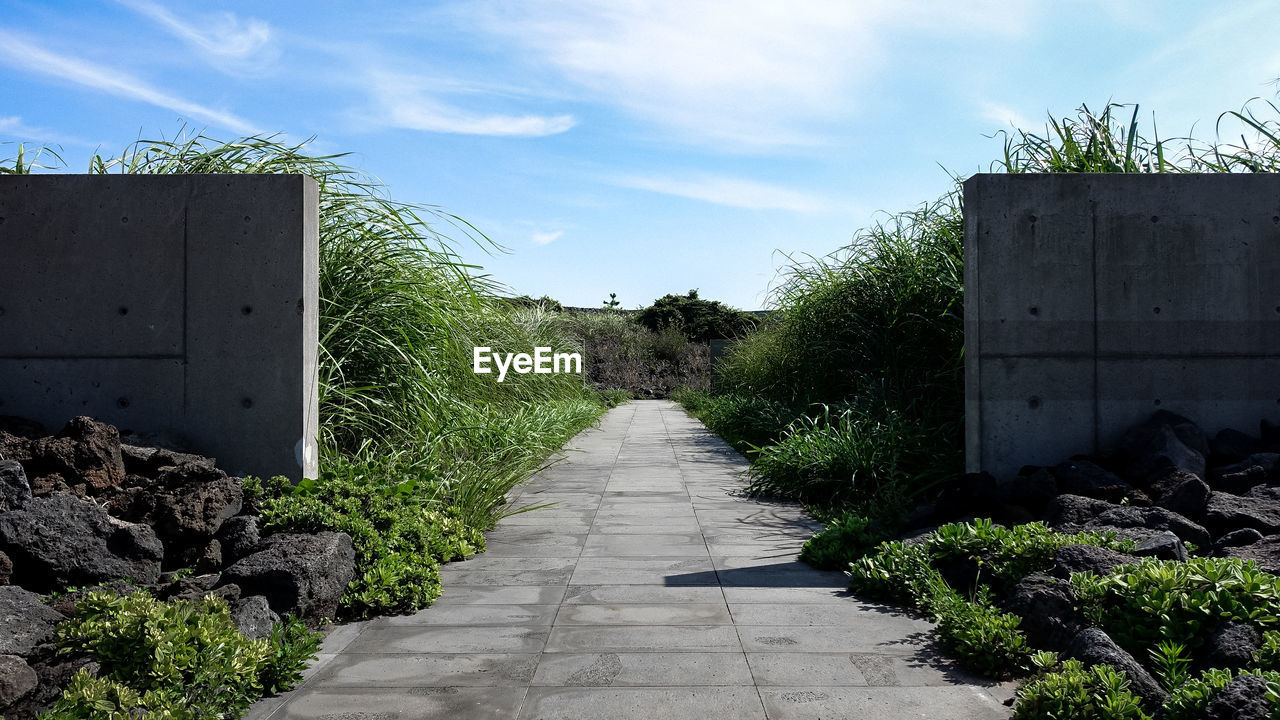 FOOTPATH AMIDST TREES AND PLANTS AGAINST SKY