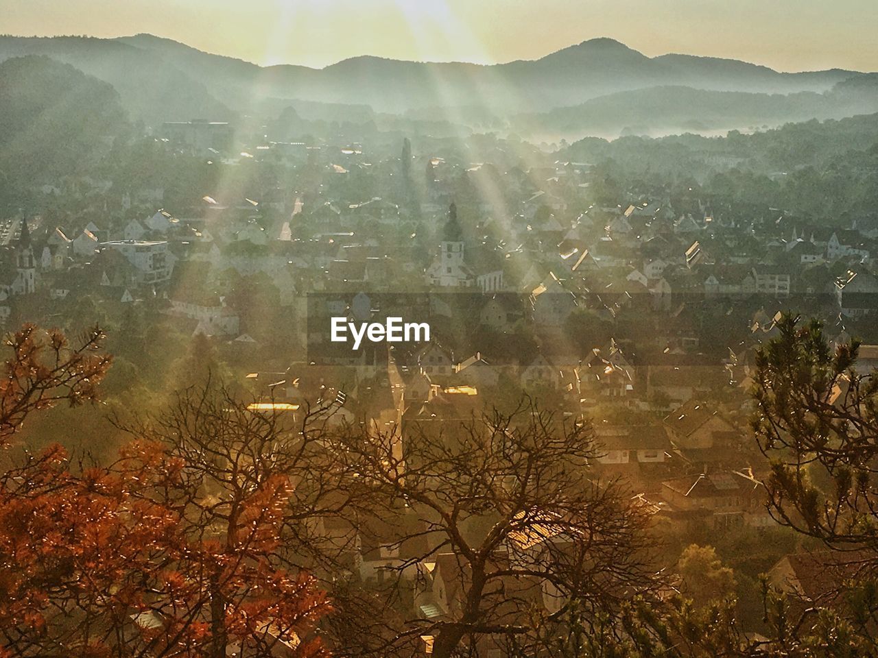 HIGH ANGLE VIEW OF TREES AND MOUNTAIN RANGE