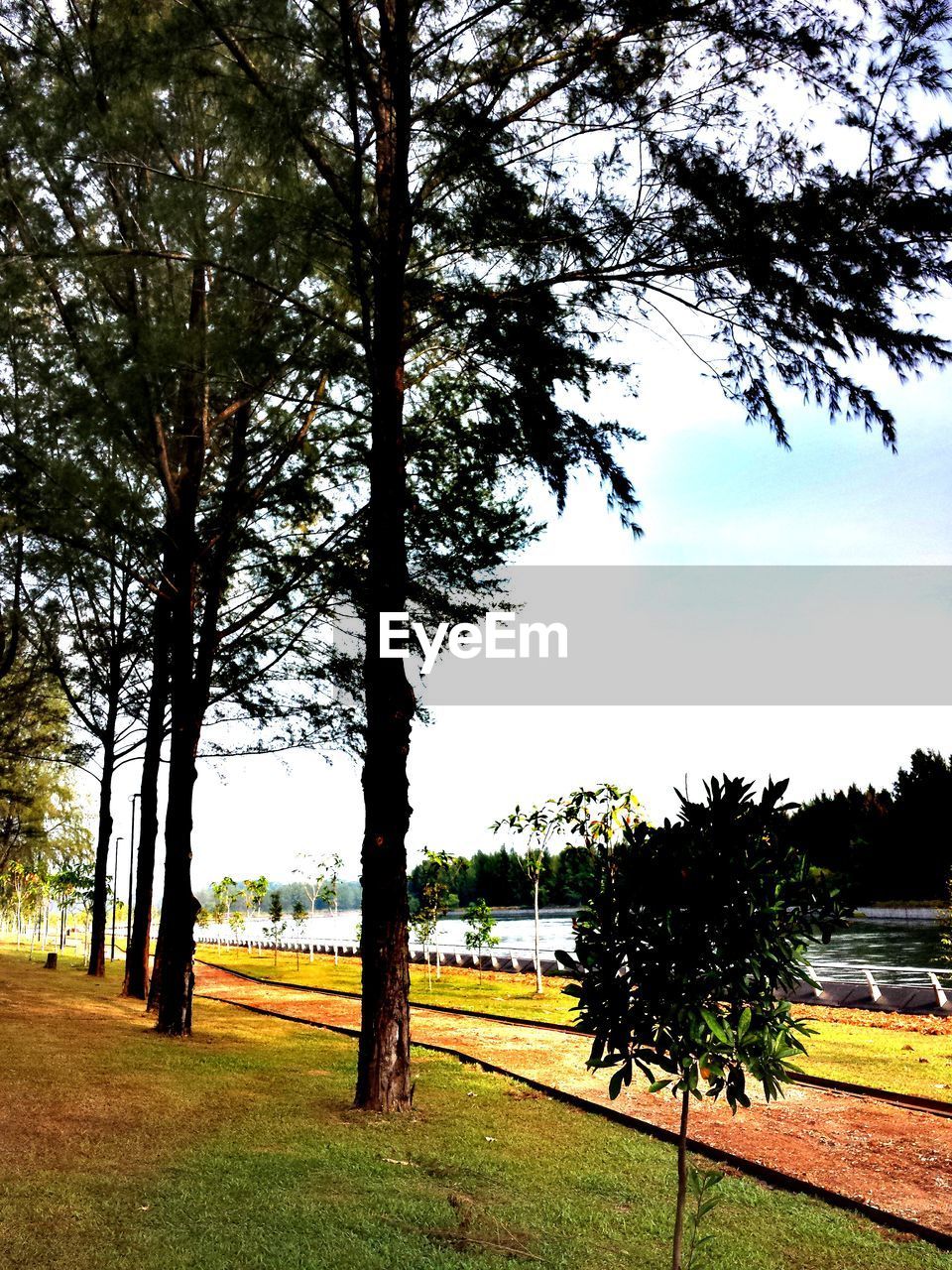 TREES ON LANDSCAPE AGAINST SKY