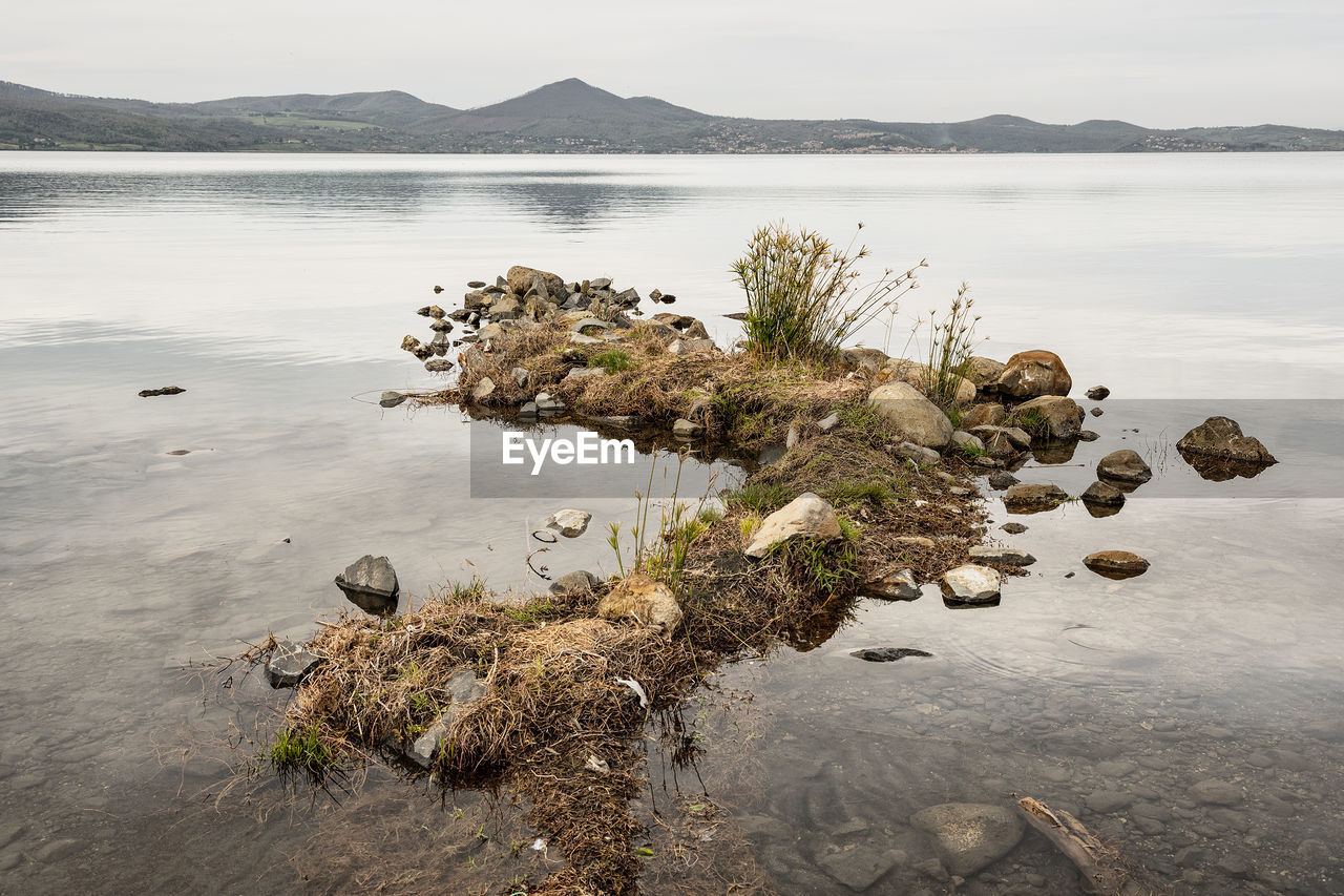 Plants growing on rock by lake against sky