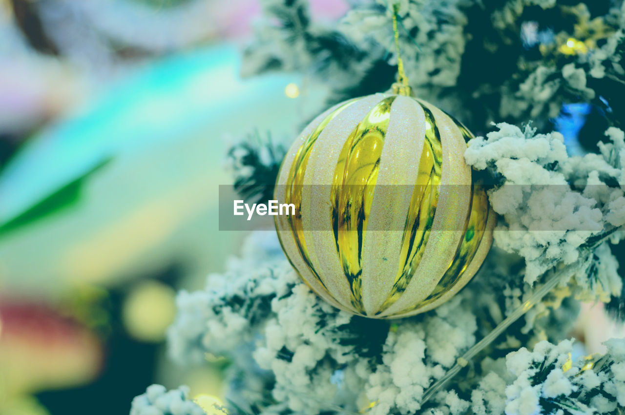 Close-up of bauble hanging on plants