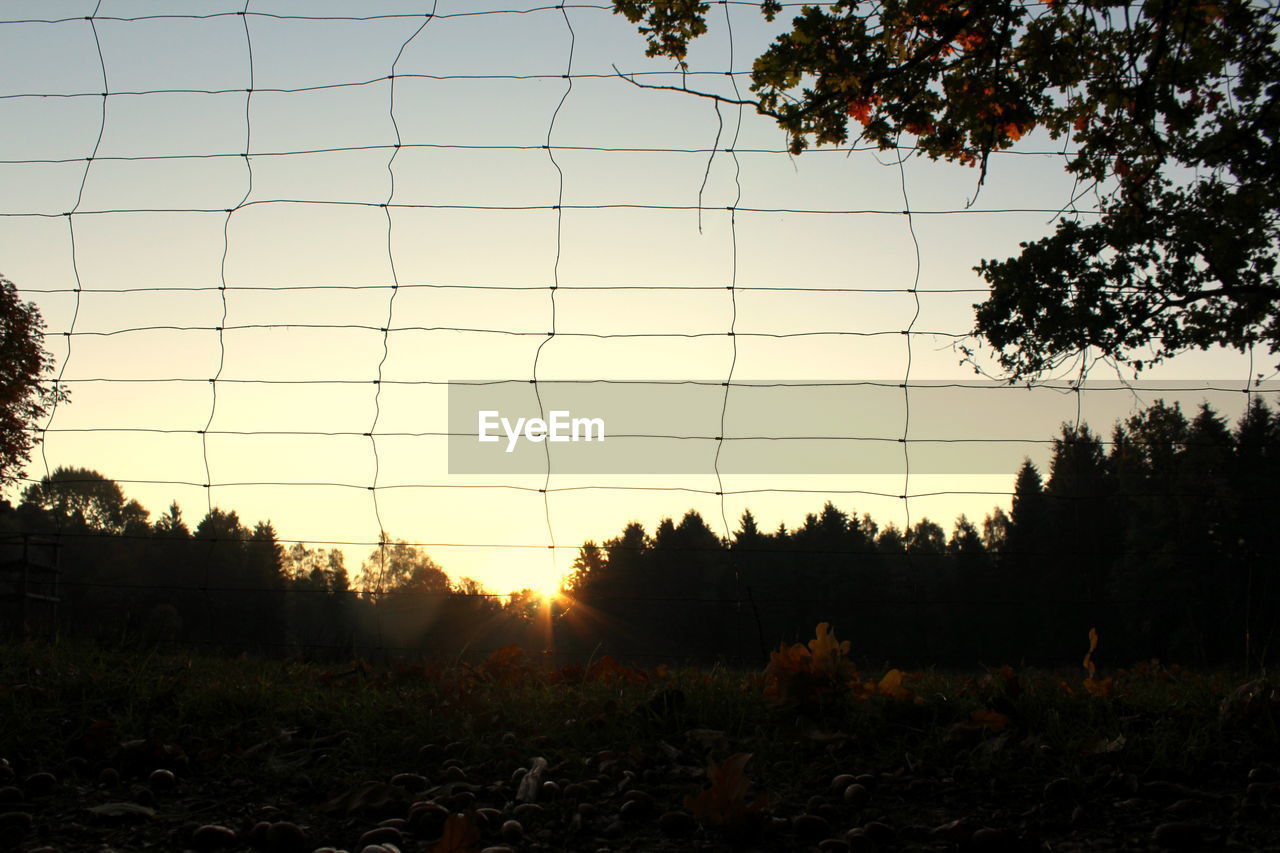 SILHOUETTE TREES ON FIELD AGAINST ORANGE SKY