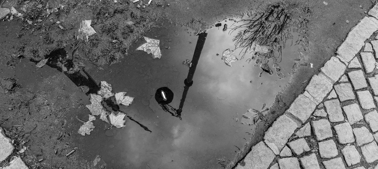 Street light reflecting on puddle by footpath