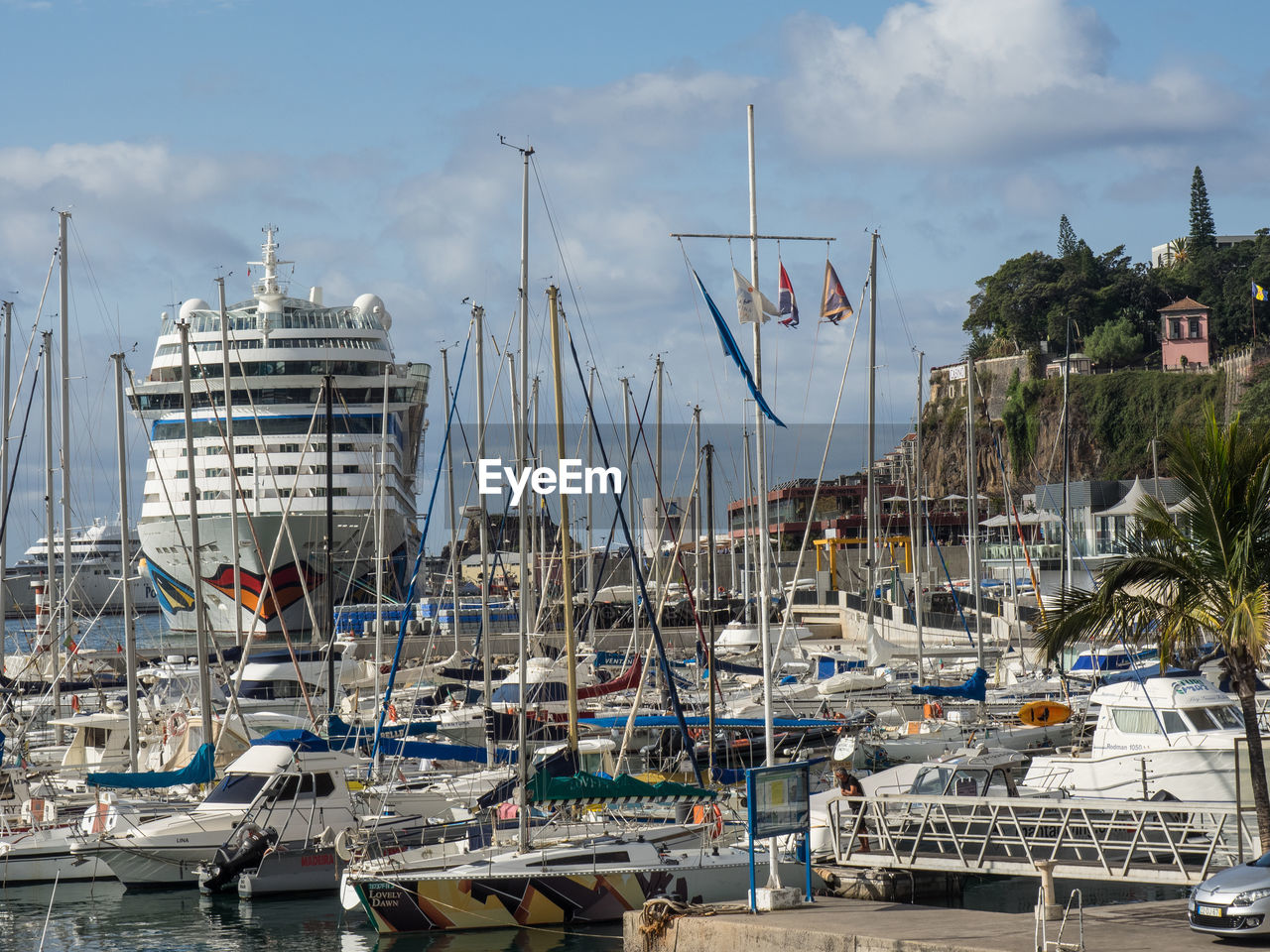 SAILBOATS IN MARINA