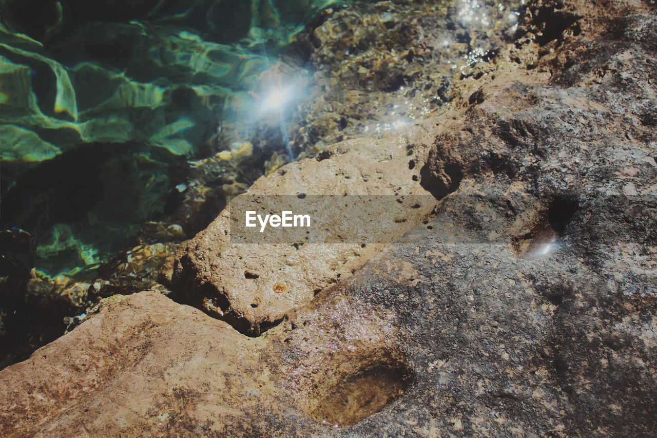 CLOSE-UP OF CRAB ON ROCK