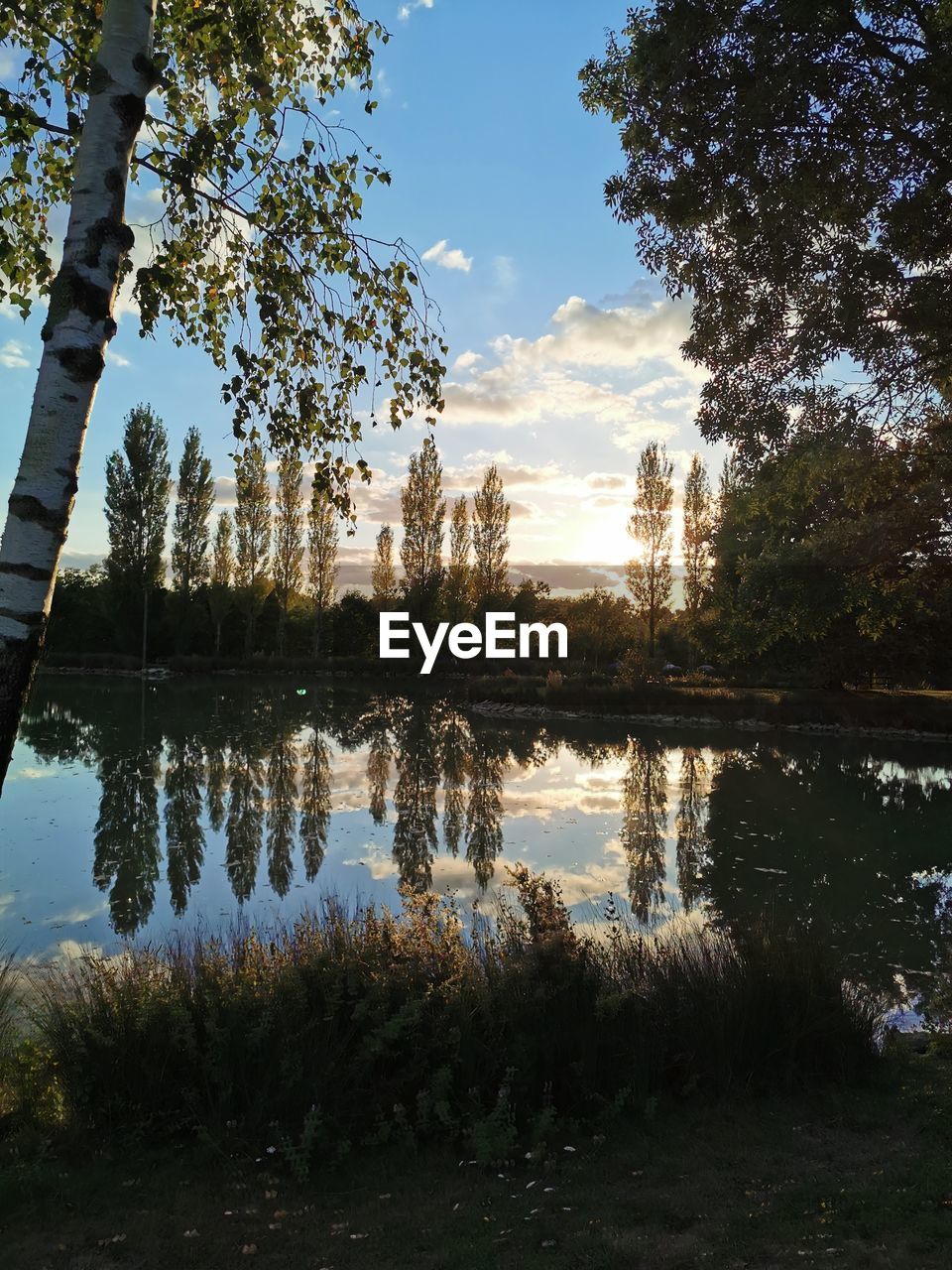 REFLECTION OF TREES IN LAKE AGAINST SKY DURING SUNSET