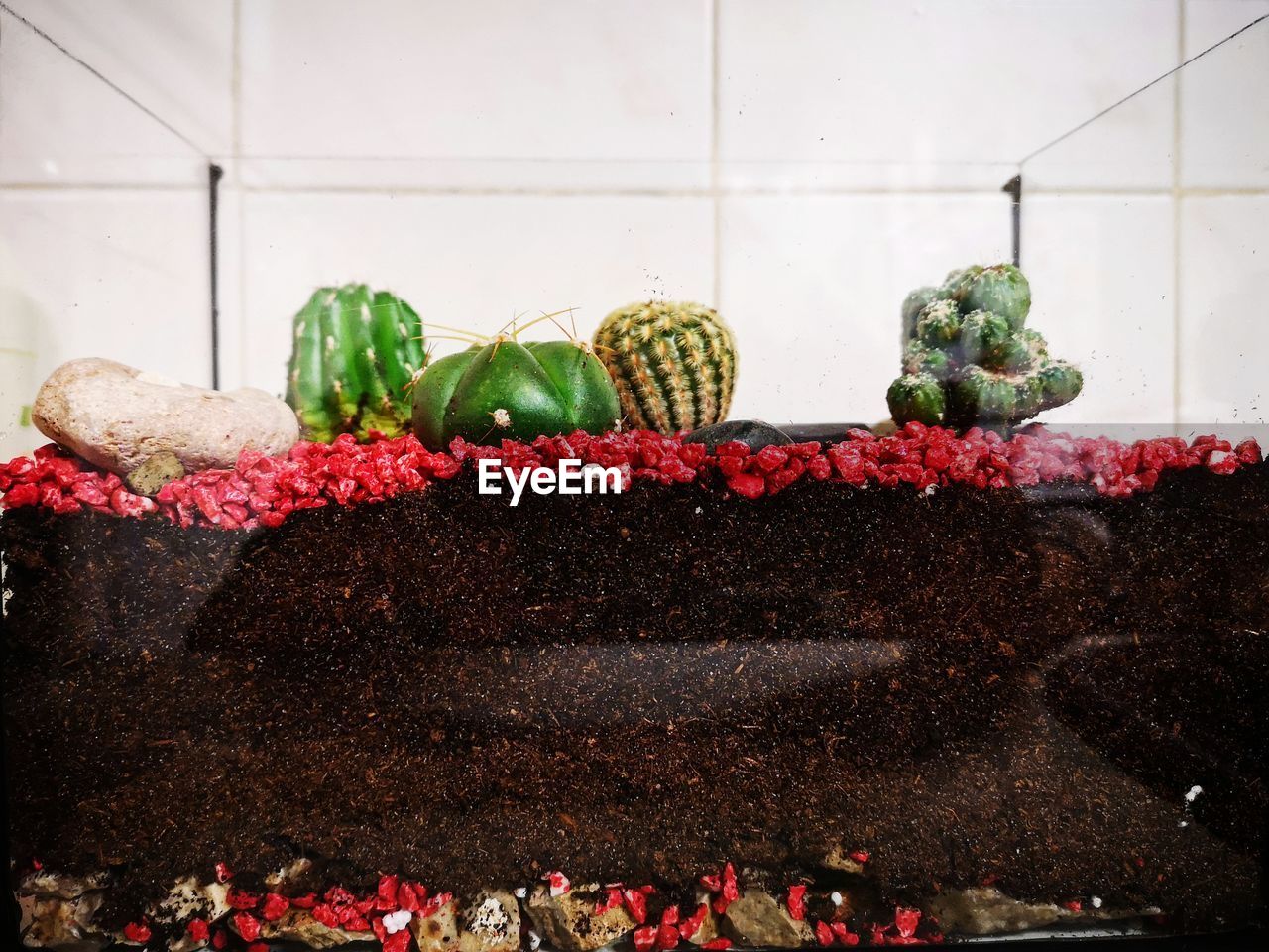 VARIOUS FRUITS ON DISPLAY