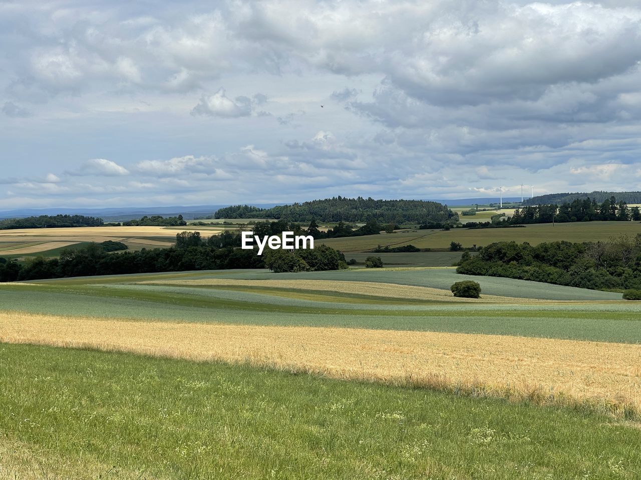 landscape, environment, plant, sky, land, scenics - nature, plain, field, grass, grassland, cloud, beauty in nature, nature, rural scene, horizon, tranquility, green, tranquil scene, agriculture, no people, tree, prairie, rural area, hill, day, non-urban scene, growth, outdoors, pasture, idyllic, meadow, farm, sport venue, sunlight, crop, sports