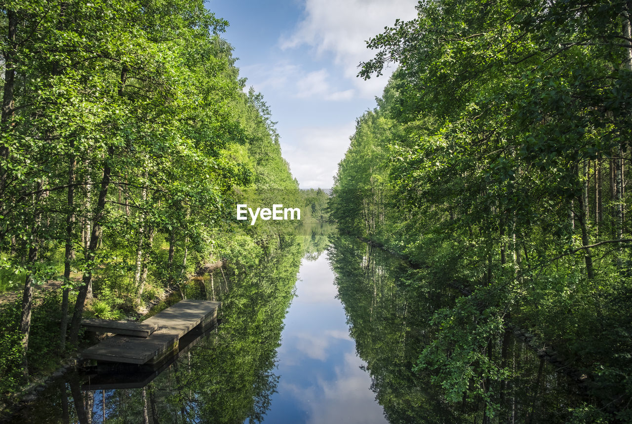 Reflection of trees in lake against sky