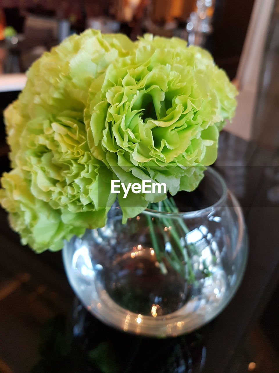 CLOSE-UP OF FLOWER IN VASE ON TABLE