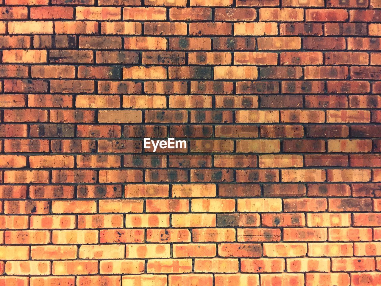 Bricks wall